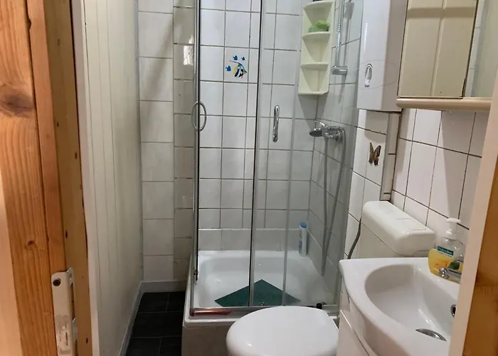 Schoenes Grosses 1 Et Parkplatz Nach Verfuegbarkeit Séjour chez l'habitant *